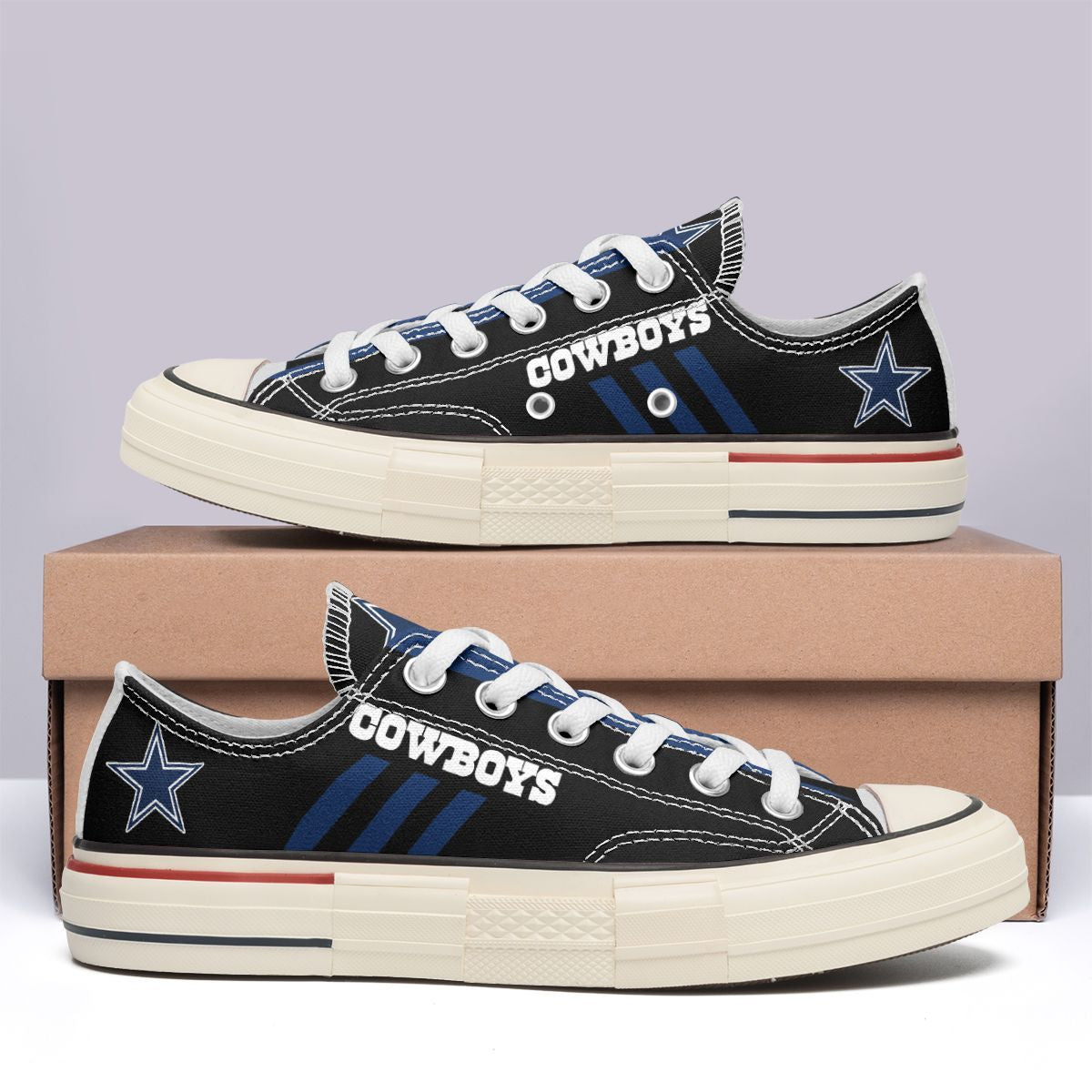 Dallas Cowboys New Low Top Canvas Shoes 19