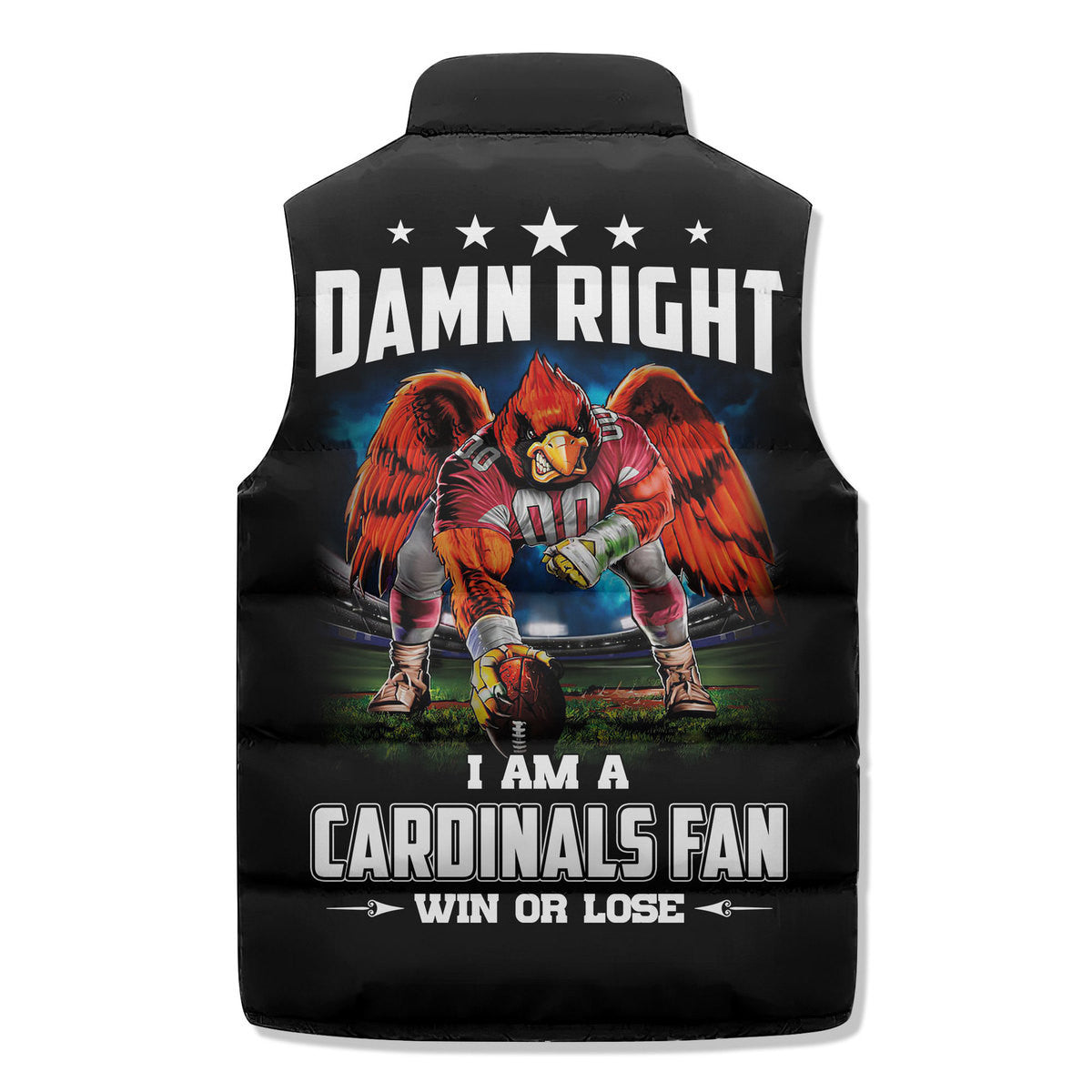 Arizona Cardinals Premium Sleeveless Puffer Jacket New Collection AZBTSPFJ000027